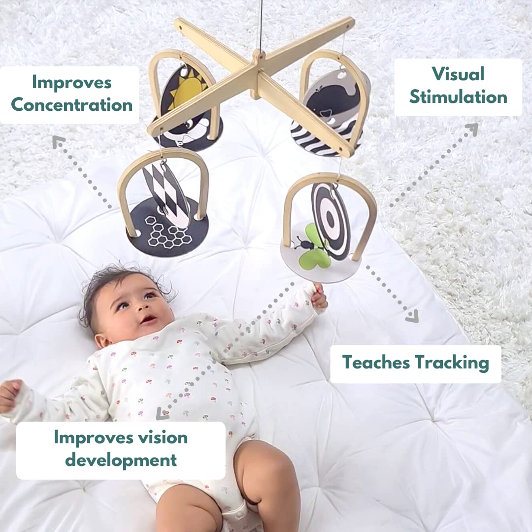 improves concentration, provides visual stimulation, improves visual development, teaches tracking